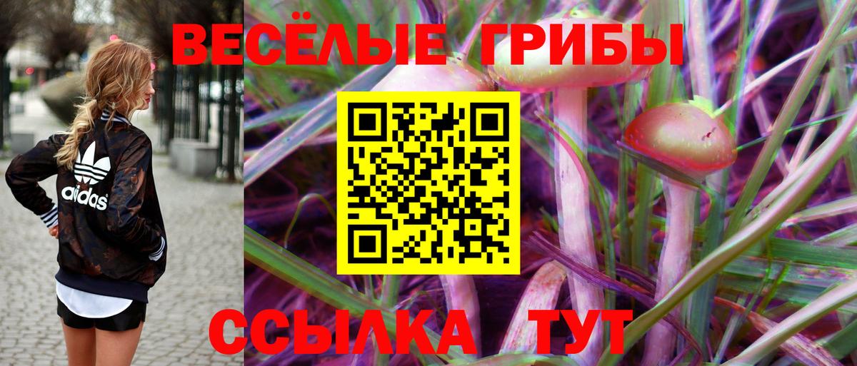 Псилоцибиновые грибы MAGIC MUSHROOMS Баксан