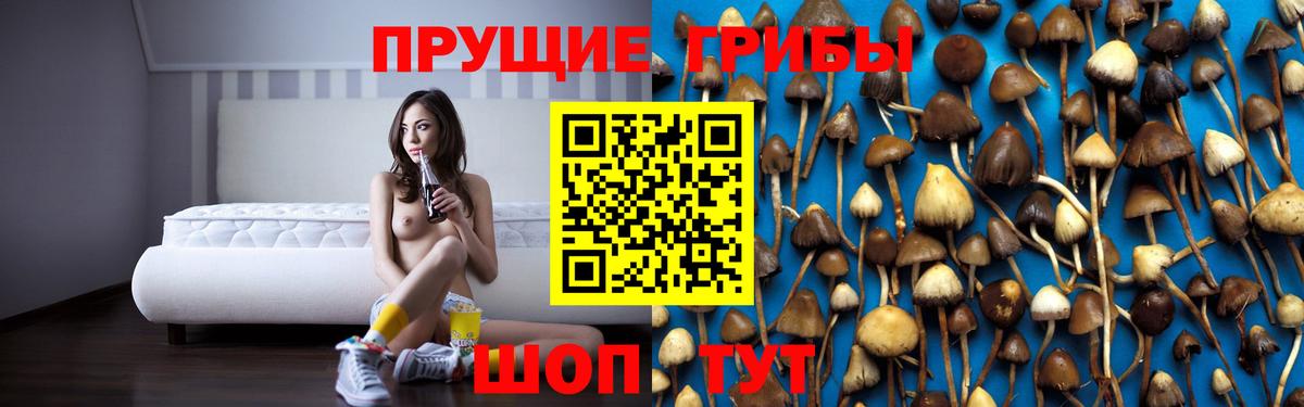 Баксан  Псилоцибиновые грибы GOLDEN TEACHER  Галлюциногенные грибы мухоморы  Вход с VPN 