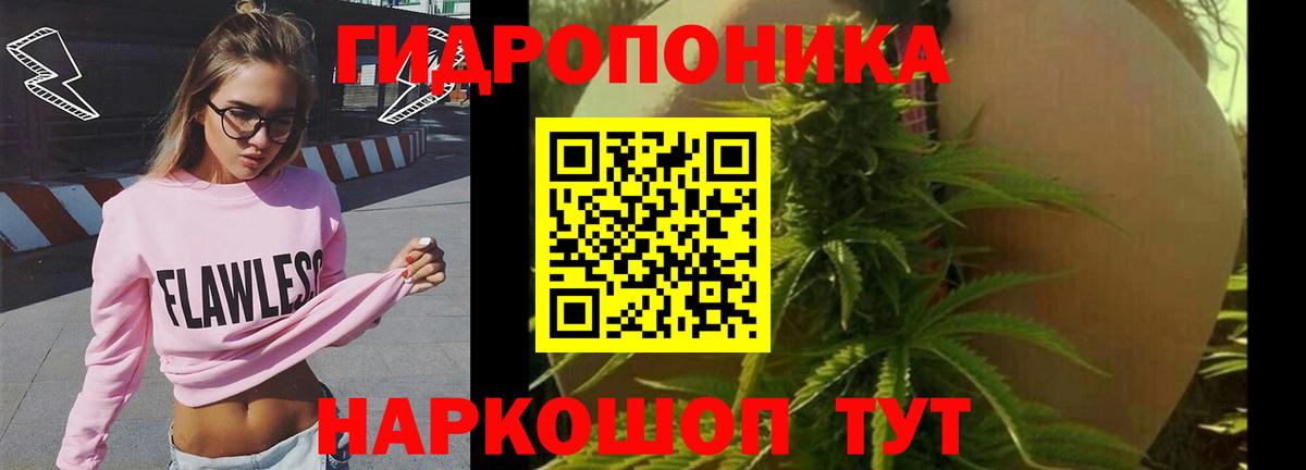 Баксан  Бошки Шишки White Widow  Бошки Шишки план  Вход с VPN 
